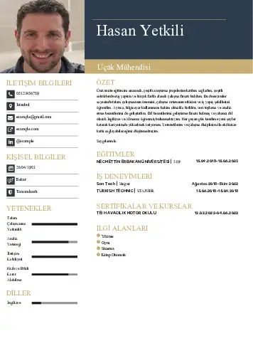 Havacılık Ve Uzay Uçak Mühendisi Cv Örnekleri cv indir